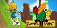Tunnel Sprint Screen Shot 0