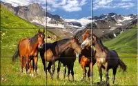 Puzzle - Beautiful Horses Screen Shot 5