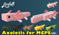 Axolotls Mod for Minecraft PE Screen Shot 2