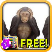3D Monkey See Slots - Free
