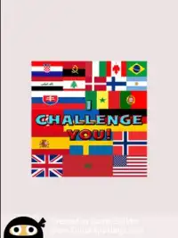 you know all this flags?? Screen Shot 12