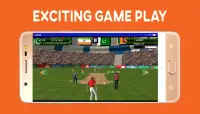 Boom Boom Afridi Cricket Game Screen Shot 5