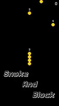 SnakeAndBlock Screen Shot 1