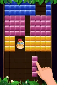 Block Puzzle: Jogo de quebra-cabeça grátis Screen Shot 4
