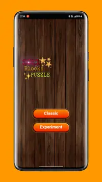 Blocks Puzzle Screen Shot 1