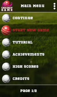 Blind Cricket Screen Shot 5