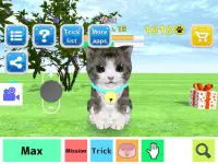 Gato Simulador Screen Shot 4