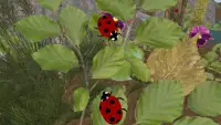 ladybug सिम्युलेटर - पशु खेल Screen Shot 1