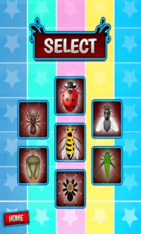 Insect Top Killer game Screen Shot 1