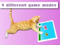 HappyCats kediler için oyun Screen Shot 7