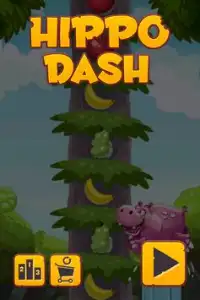 Hippo Dash Screen Shot 0