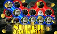 Wild Cat Slot: Real Jackpot &  Screen Shot 1