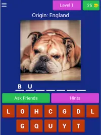 Dog Breed Quiz Game (Dog Game) Screen Shot 10