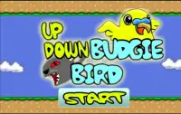 Up Down Budgie Bird ! Screen Shot 0