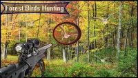 Hutan Burung Hutan 3D - Menembak Sniper Screen Shot 1