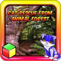 Cat Rescue From Animal Forest