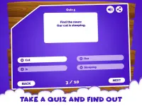 Noun English Grammar Kids Quiz Screen Shot 1