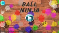 Ball Ninja Screen Shot 0