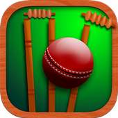 Cricket Unlimited