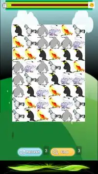 Puzzle Birds Screen Shot 1