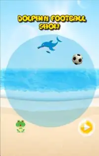 Dolphin Football Afficher Screen Shot 0