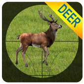 Sniper Deer Shooting - 3D