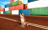 Akita Dog Simulator Screen Shot 19