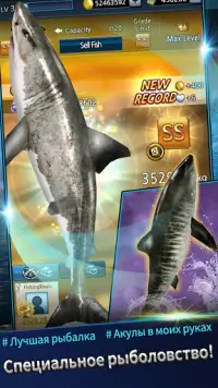 Fishing Rivals : Hook & Catch Screen Shot 6