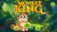 The King Monkey Adventure Screen Shot 0