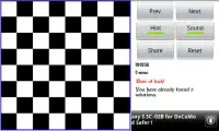 Eight Queen's Puzzle Screen Shot 1