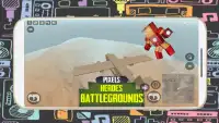 Pixel Heroes Royale  Battleground Gun 3D Screen Shot 2