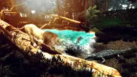 Wild Lion Animal Survival Game Screen Shot 2