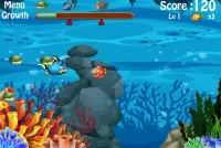 Fish Big Eat Fish Small Screen Shot 2