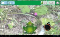 Frog for kids and adults free Screen Shot 2