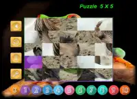 Puzzle Bizarre Animal Screen Shot 3