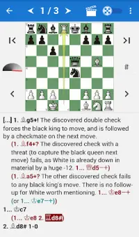 Encyclopedia Chess Informant 2 Screen Shot 0