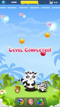 Raccoon Ball Crush Screen Shot 4