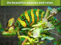 Jogos de puzzle de zoo para família Screen Shot 0