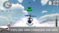 Flight Simulator 3D Screen Shot 1