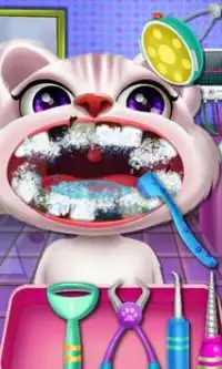 Crazy Kitty Dentist Screen Shot 2