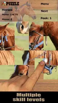Horses jigsaw puzzles (FREE) Screen Shot 2