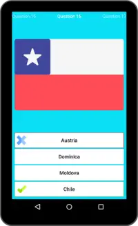 Flags of All Countries Quiz Screen Shot 6
