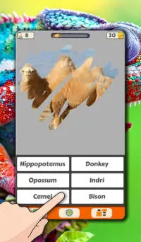 Animal Quiz. Scratch Trivia Game Screen Shot 0