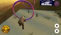 Vicious Bear Flying Screen Shot 1