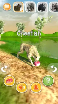 Animal Simulador 3D - Cheetah etc. Screen Shot 2