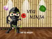 Veg ninja Screen Shot 0