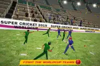 World Cricket International Fight Tournament Screen Shot 4