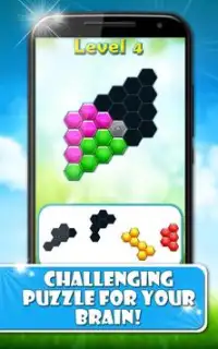 Hexagon: Block Puzzle Games Screen Shot 1