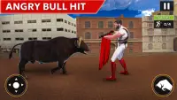 Bull Fighting Games: Bull Game Screen Shot 2