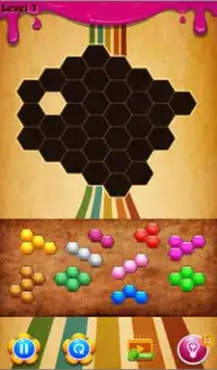 Hexa PuZZle BloCk KinG Screen Shot 3